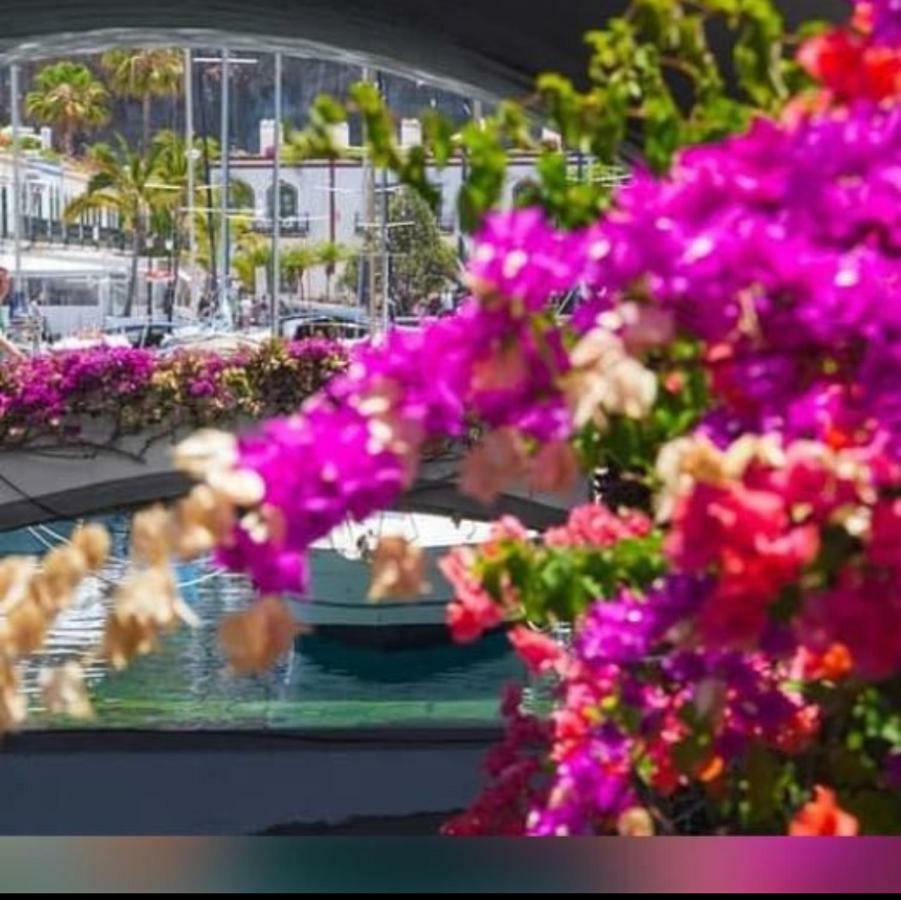 Dailos' Home Puerto De Mogan Luaran gambar